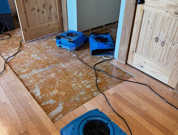Mold Cleaning for Commercial Spaces in Cartersville​