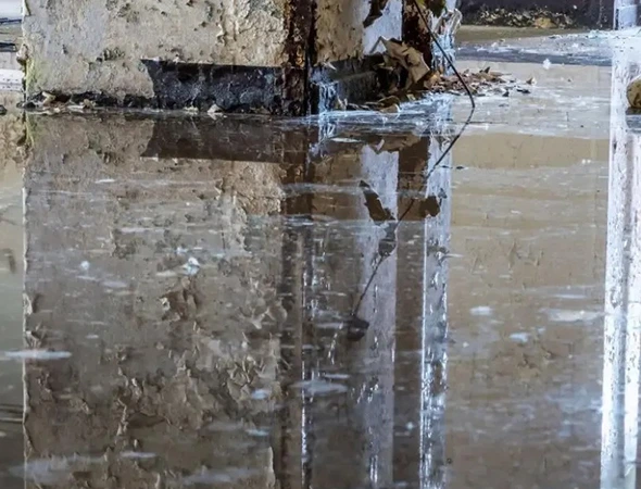 Disaster Recovery & Restoration Specialists in Jasper​