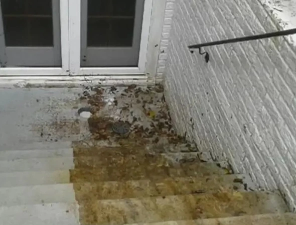 Crawl Space Mold Remediation in Ballground​