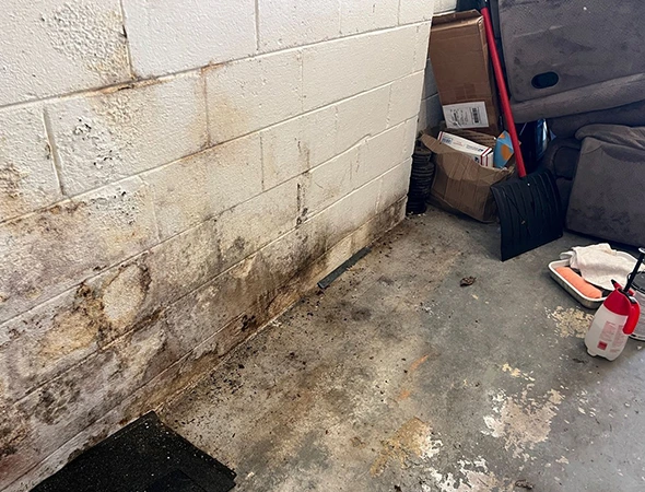 Fire-Damaged Structural Cleaning in Ranger​