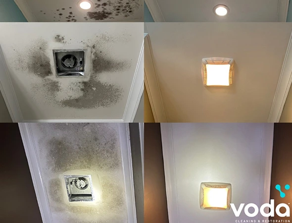 Attic Mold Cleanup Services in Ballground​